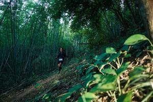 BIB: 
                            <button type="button" onclick="openModal(28124909)" class="btn btn-primary btn-sm float-right btn-popup" data-toggle="modal" data-target=".modal-high-quality">
                        <i class="fas fa-shopping-cart"></i> Add to Cart
                    </button>
                                            <button type="button" onclick="isThisMe(28124909, true)" class="btn btn-success btn-sm float-right btn-popup btn-isme hidden" data-toggle="tooltip" data-placement="bottom" title="นี่คือรูปของคุณใช่ไหม คลิกที่นี่เพื่อเอาเข้าอัลบั้ม">
                        <i class="fas fa-plus"></i> Add to album
                    </button>
                    <button type="button" onclick="isThisMe(28124909, false)" class="btn btn-warning btn-sm float-right btn-popup btn-isnotme hidden">
                        <i class="fas fa-ban"></i> Remove from album
                    </button>